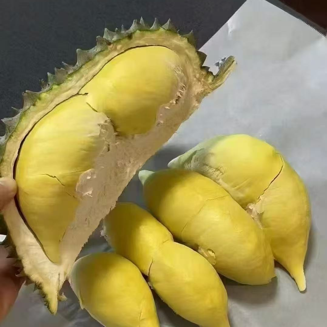 新鲜金枕榴莲果核小一物一拍500g-1500G榴莲同城配金枕