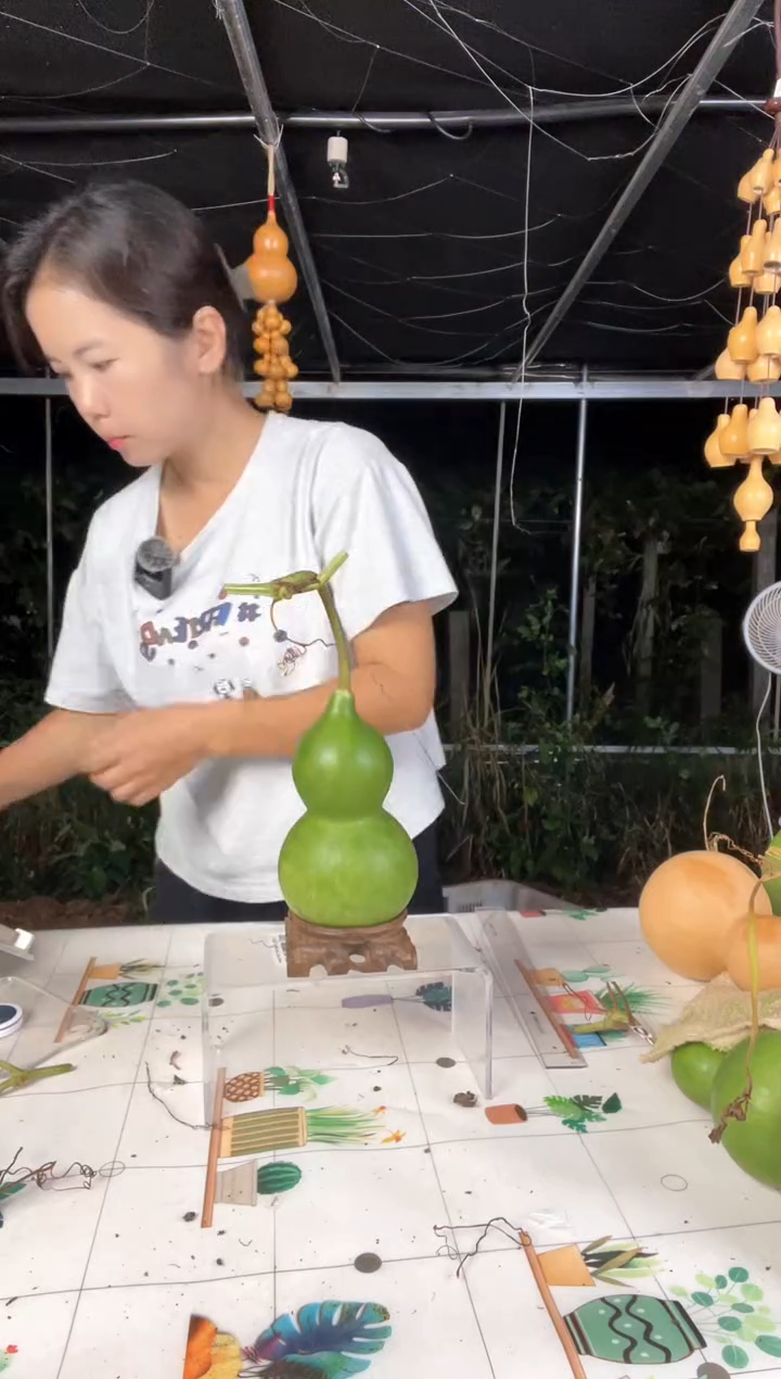 087天然葫芦摆件 一物一拍龙头不保售后