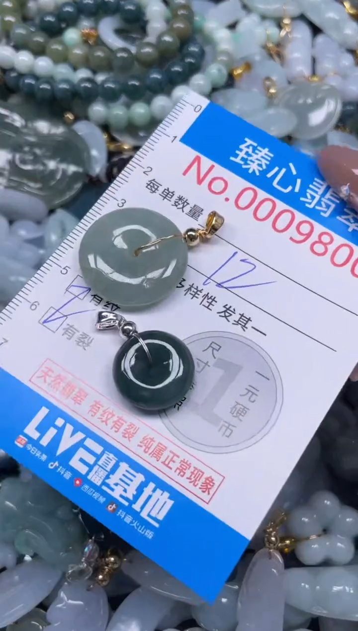 颈饰未镶嵌翡翠9800