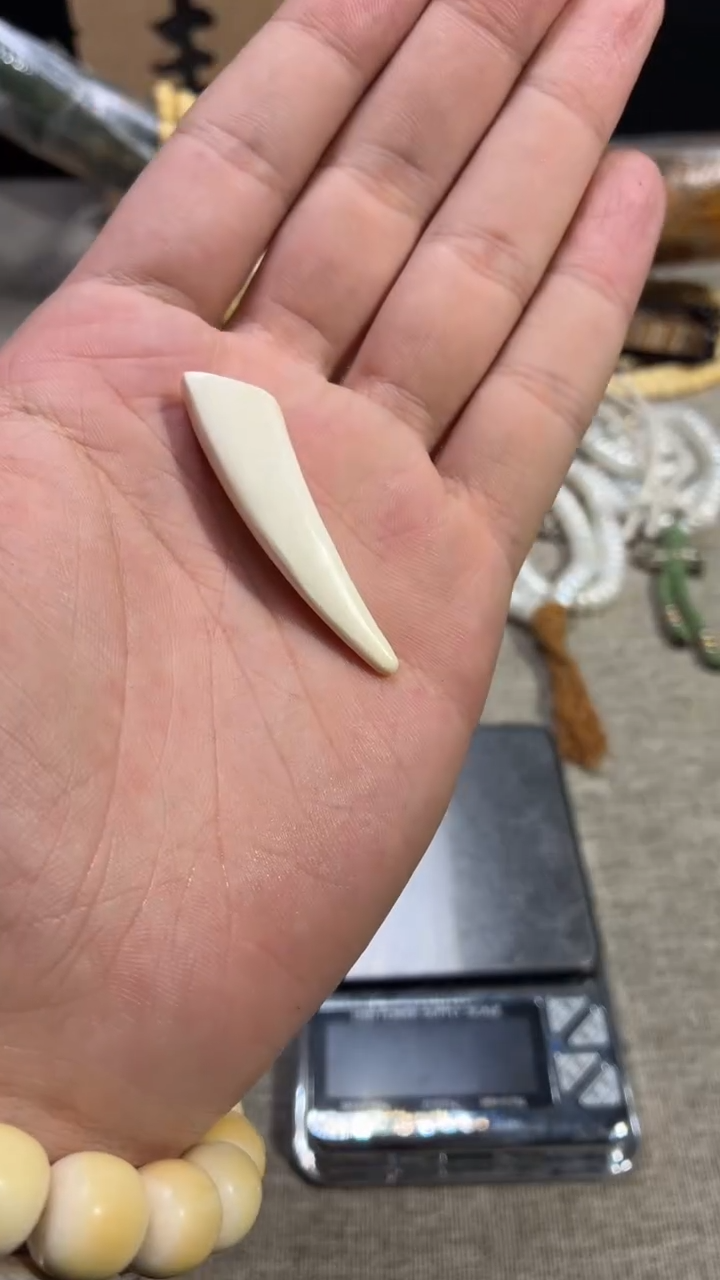手串/手链/手镯猛犸象牙Y749 猛犸牙尖