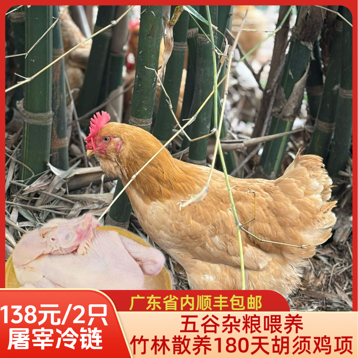 竹林散养半年胡须鸡项 （2只装 屠宰净重约5-6斤）新鲜屠宰冷链发货