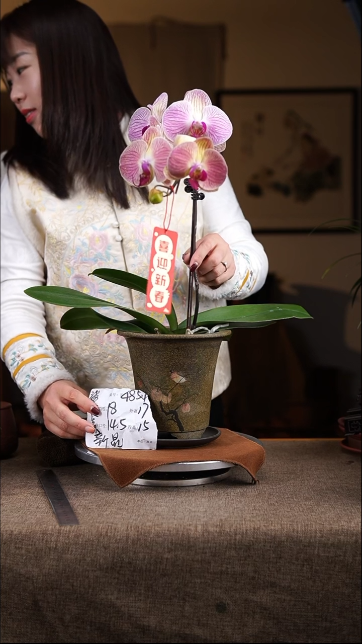 【闪购商品】紫砂花盆紫砂花盆4854+z