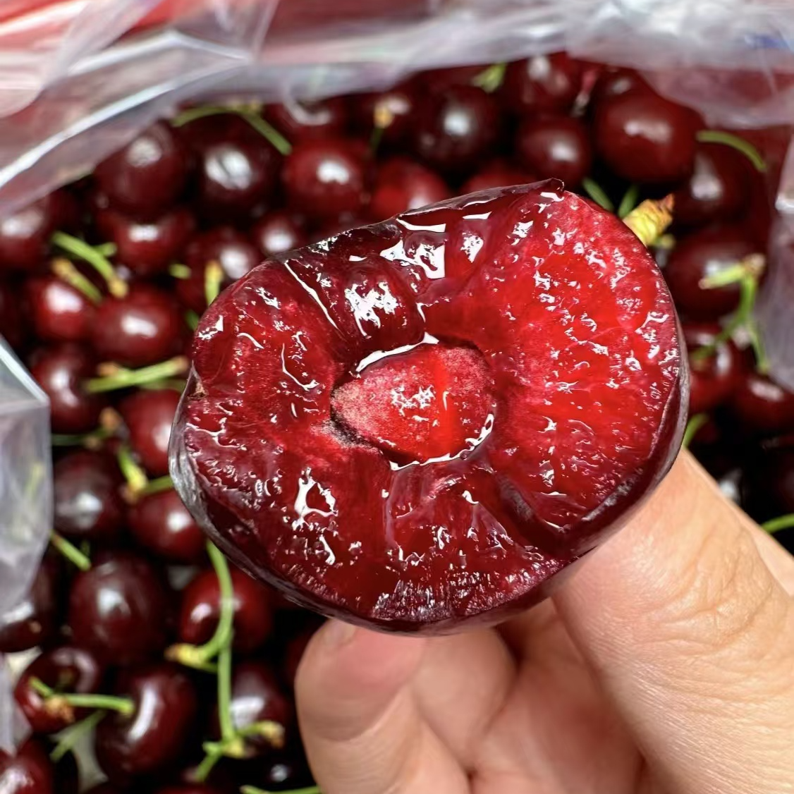 新鲜空运J车厘子500g桑提娜