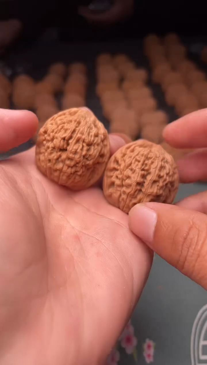 核桃a67  莲花 35尺