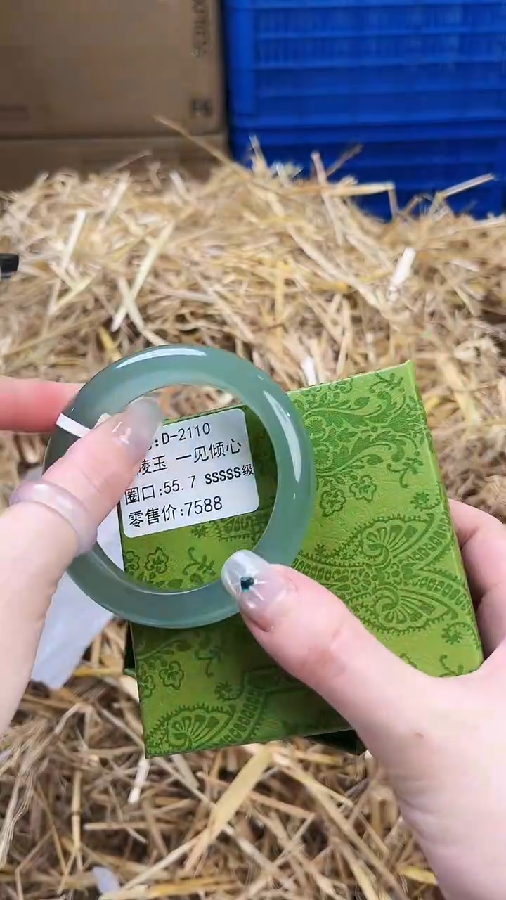 未镶嵌手镯石英质玉D-2110