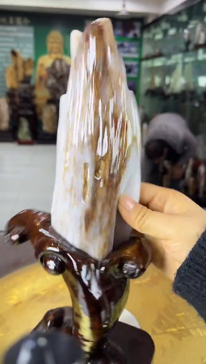 未镶嵌珠宝奇石硅化玉缅甸天然树化玉摆件