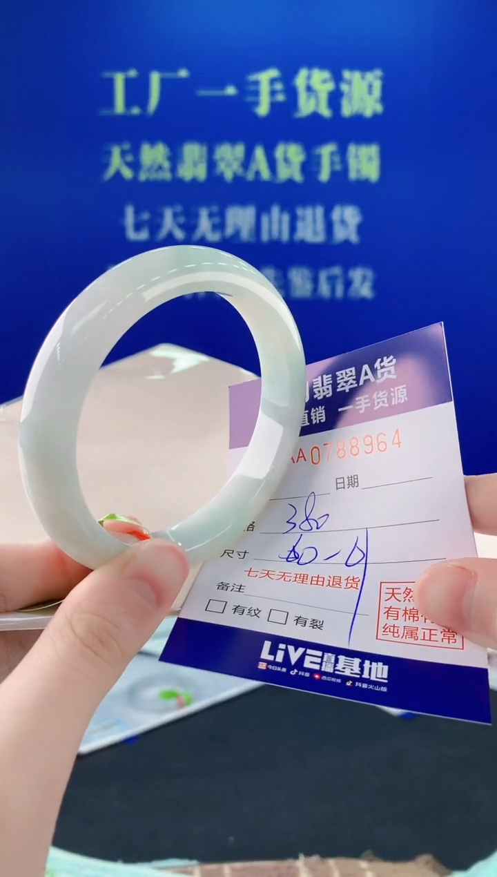 未镶嵌手镯翡翠64