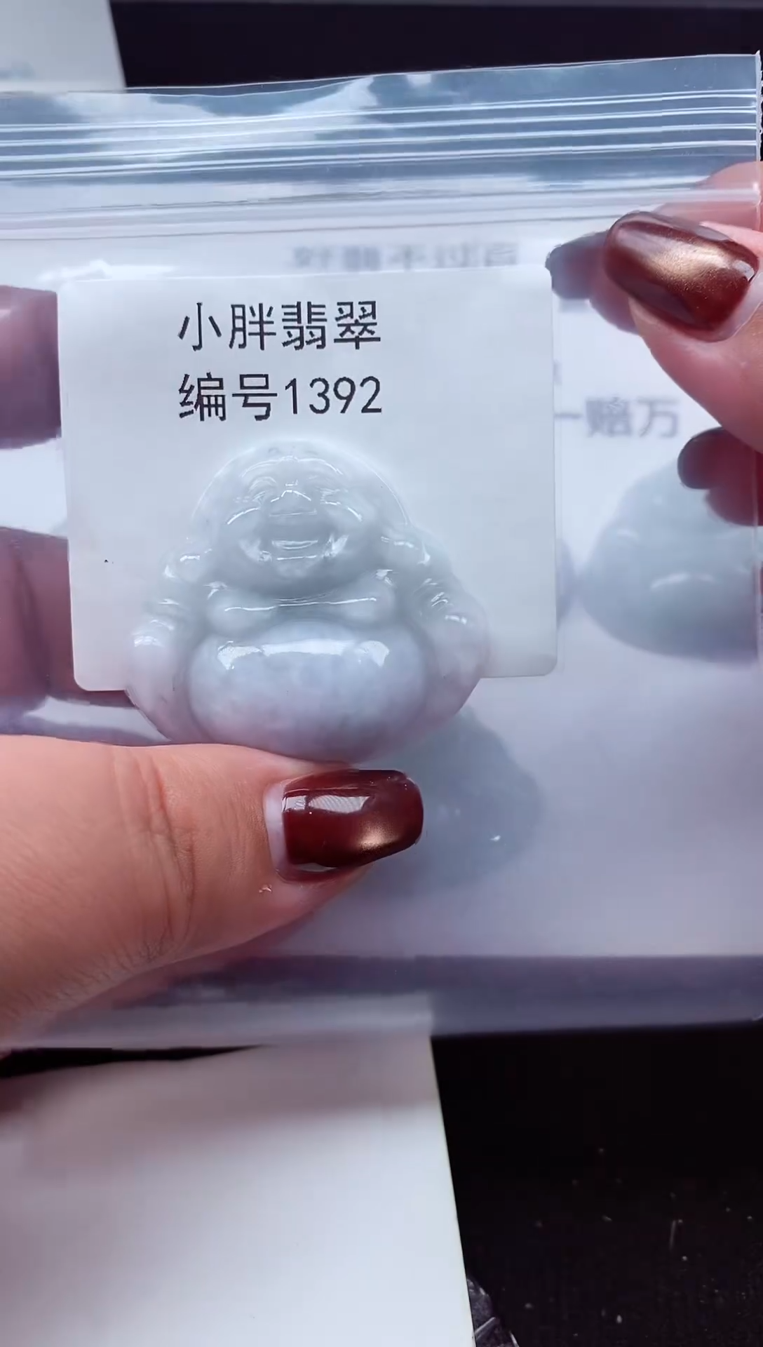 颈饰未镶嵌翡翠缅甸天然A货翡翠1392