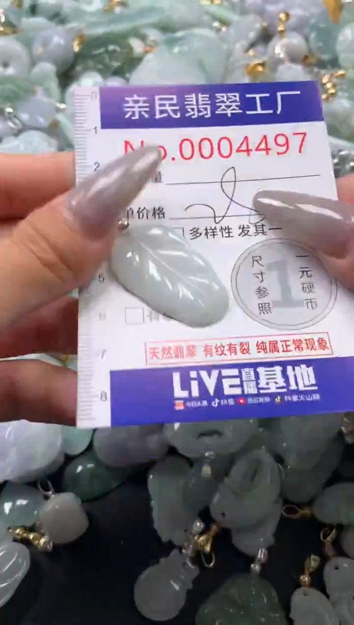 颈饰未镶嵌翡翠4497