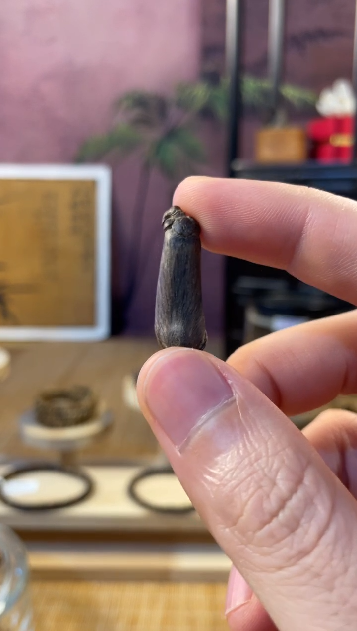 吊坠沉香加里曼丹沉水 玉兰花 1.59g 