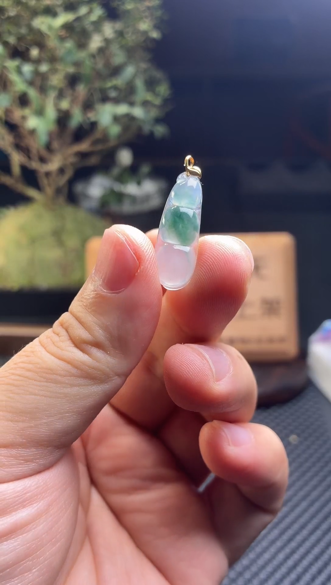 翡翠18K金镶嵌颈饰豆子