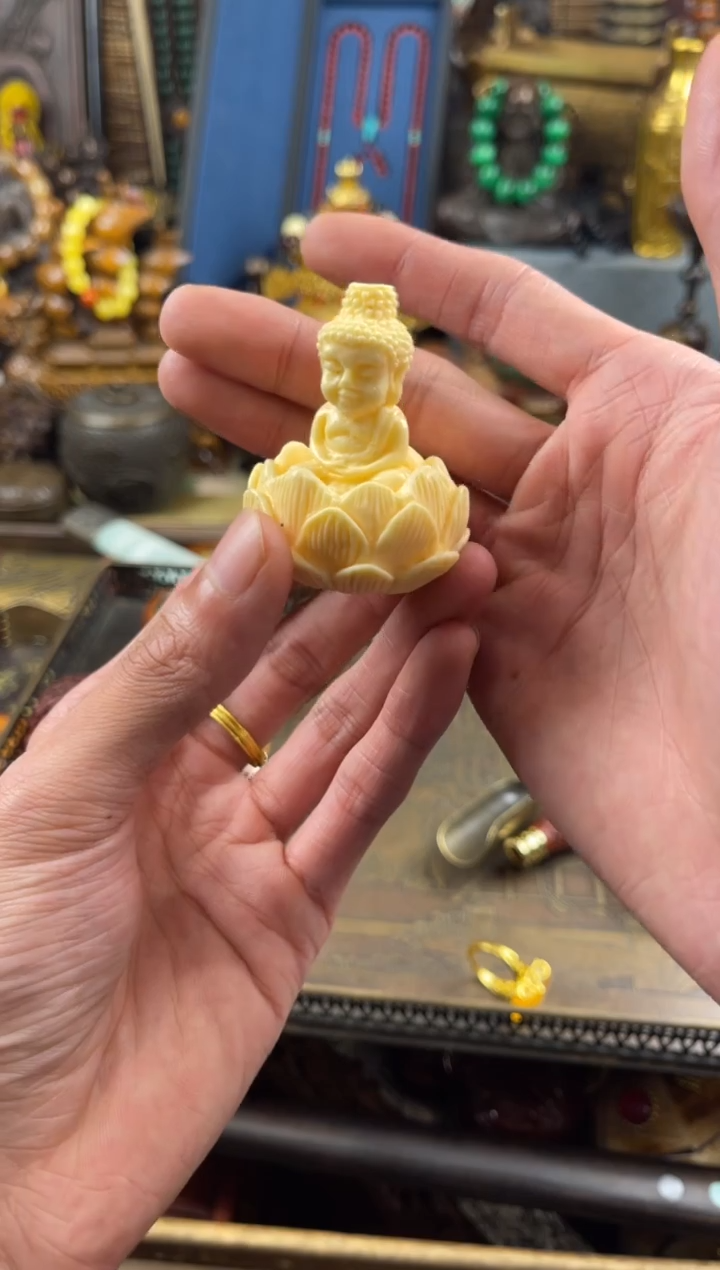 11小七甄选所见及所得