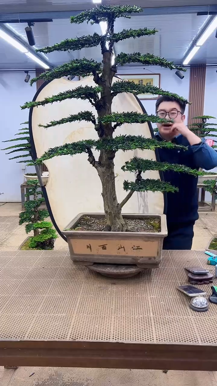 无花朵000000000000