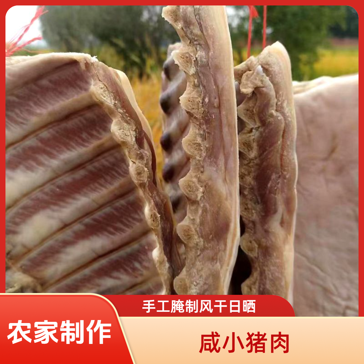 安徽淮南寿县咸香小猪肉小猪排腌制乳猪肉咸五花肉盐味风干小猪肉
