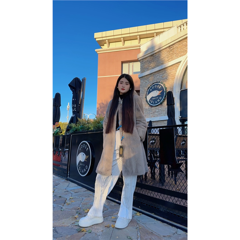 长91胸围106进口天鹅绒整貂水貂连帽大衣银蓝本色