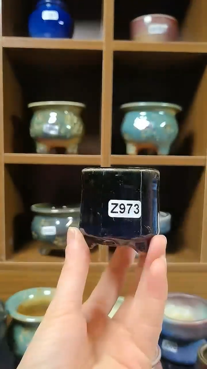 【闪购商品】红陶973