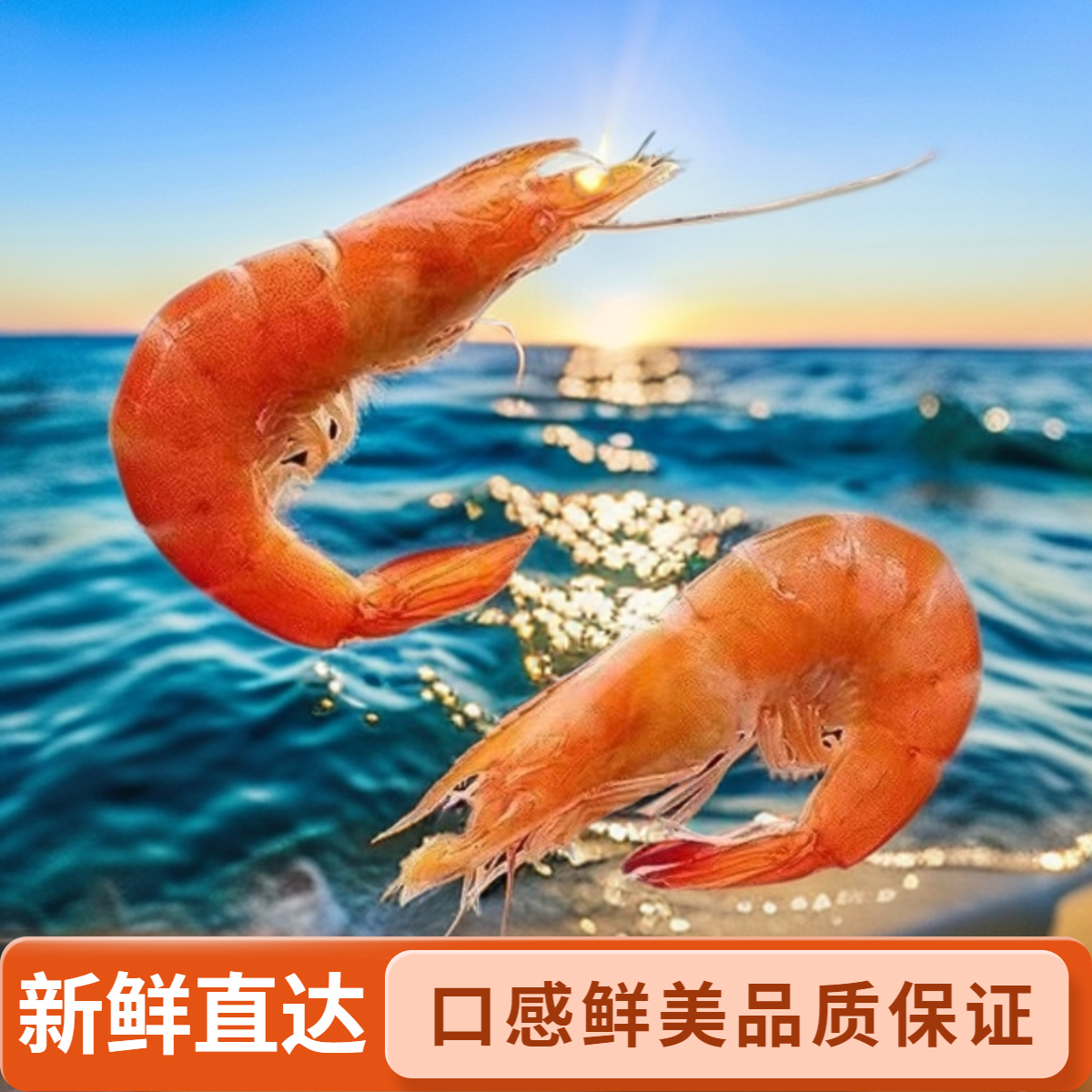 大号 670g 散装 有机熟冻盐田虾 新鲜直达 好食材放心虾