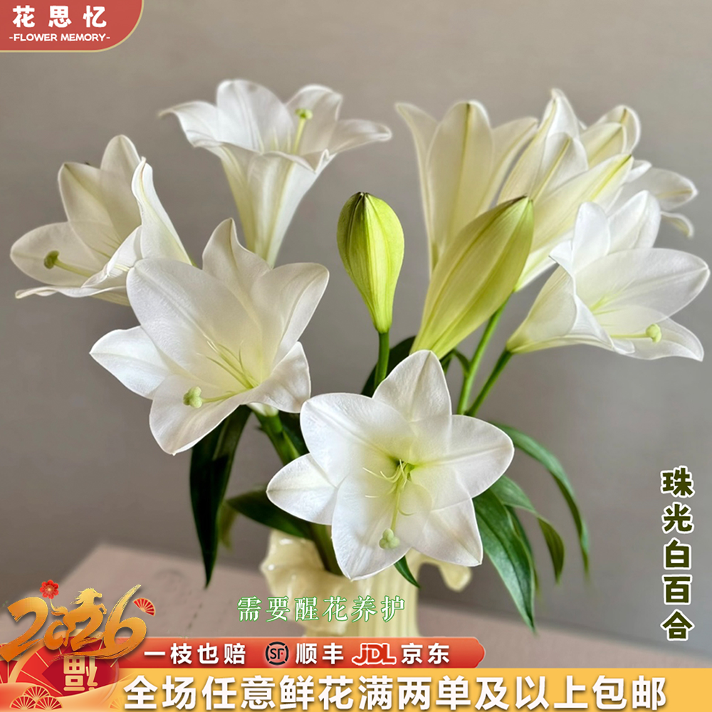 新年热卖『次日达·珠光白百合8-9朵』不少于3枝 云南鲜切花 满两单顺丰京东包邮满三单送花瓶直播次日达