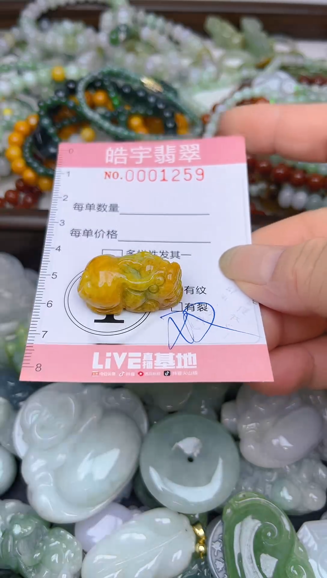 颈饰未镶嵌翡翠闪购0001259