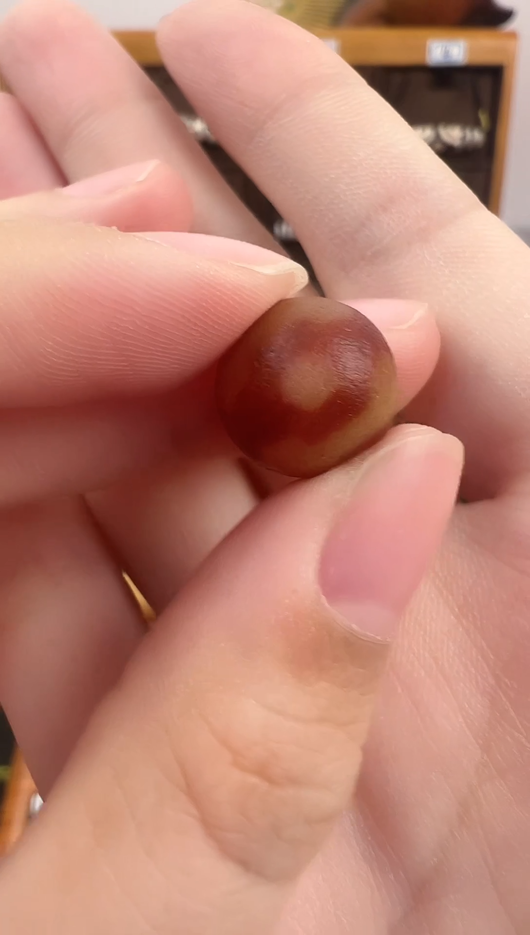 玛瑙/玉髓（覆膜）颈饰未镶嵌110.（微瑕）