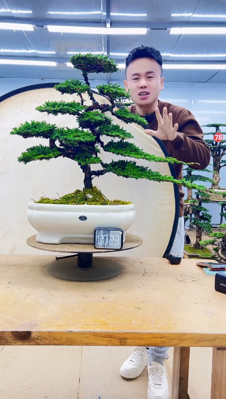 无花朵000000000000000000