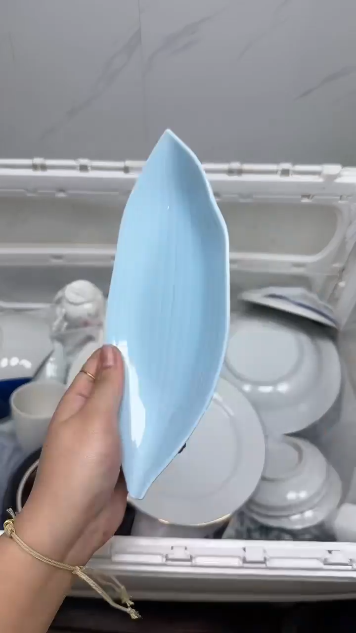 【闪购商品】4184回流瓷器默认微瑕，18.8包邮