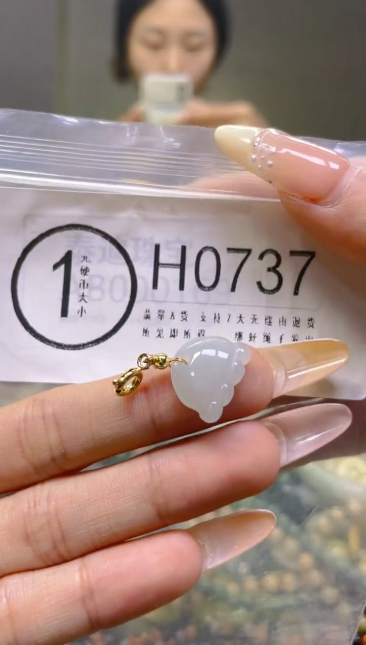 翡翠未镶嵌颈饰/H/翡翠A货一图一物