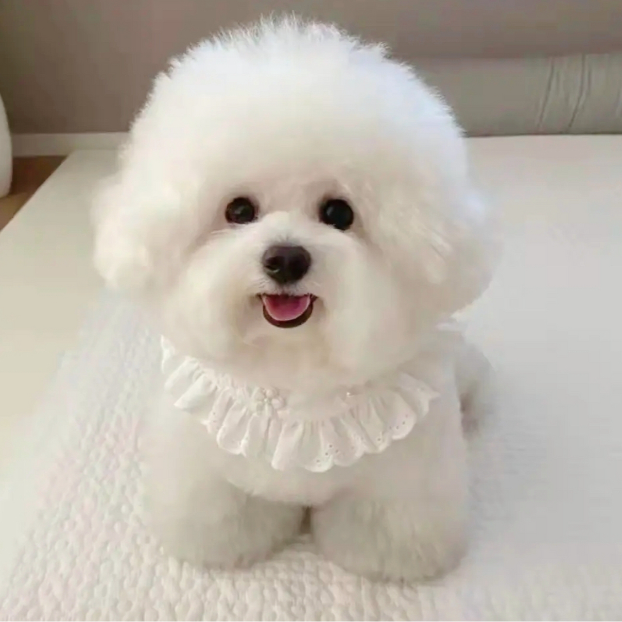 A货号，看编码，一物一编码