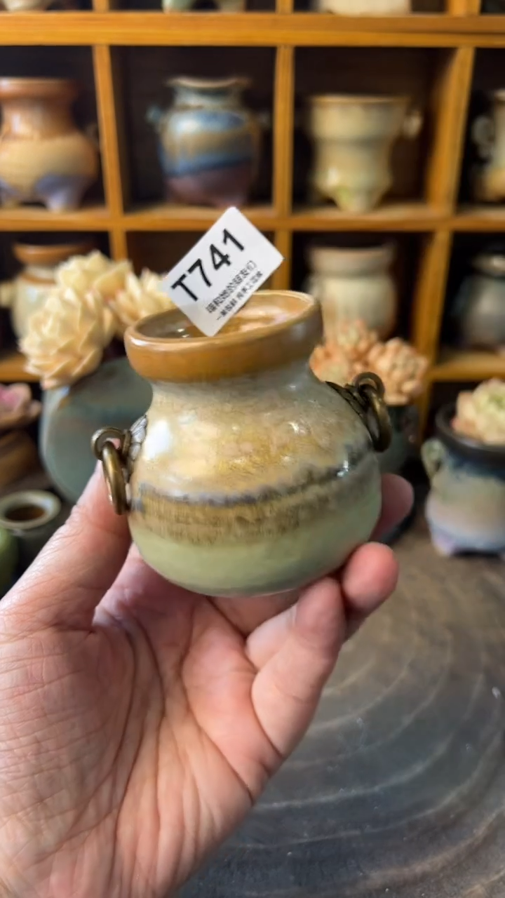 ?****️741【多肉花盆多肉盆】