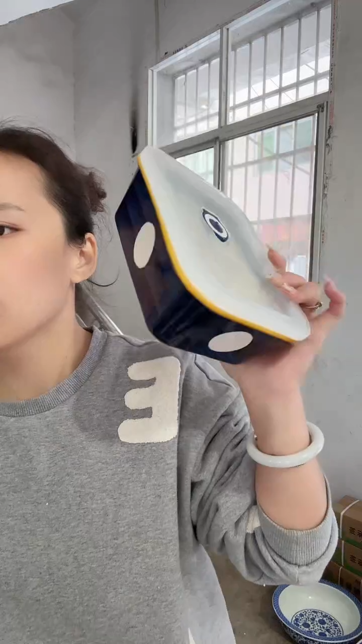 瓷片一个高级的饭盒