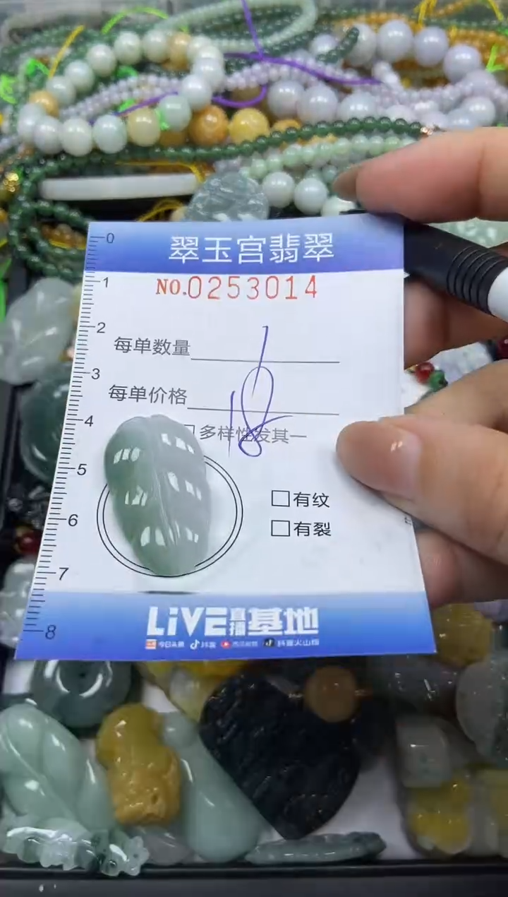 颈饰未镶嵌翡翠闪购C0253014