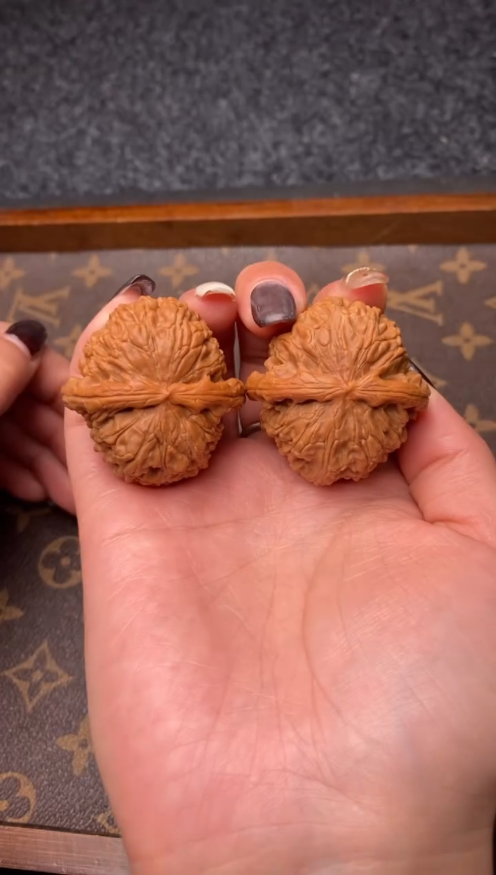 把件文玩核桃b126号40尺白狮子