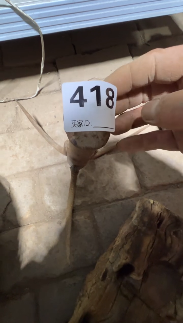 那****兜08180老王直播间专属链接