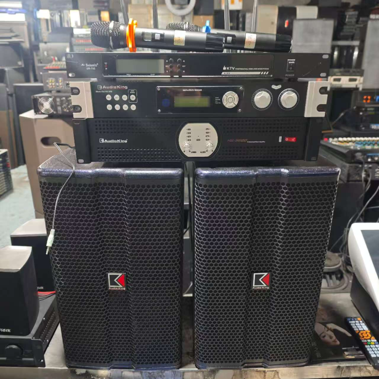 9新 声皇 《声皇 10寸音箱一套 话筒+效果器+功放+音箱》运费自理