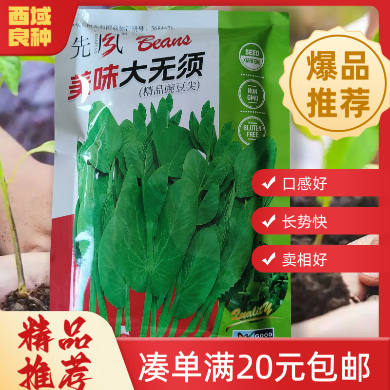 【200g美味大无须】豌豆苗种子
