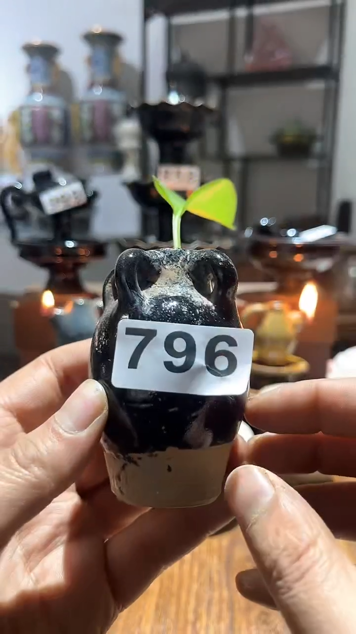 【闪购商品】摆件                   