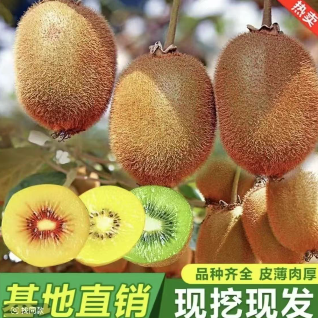 【猕猴桃树苗】买一颗送一颗公母同株品种猕猴桃南方北方种植果树苗