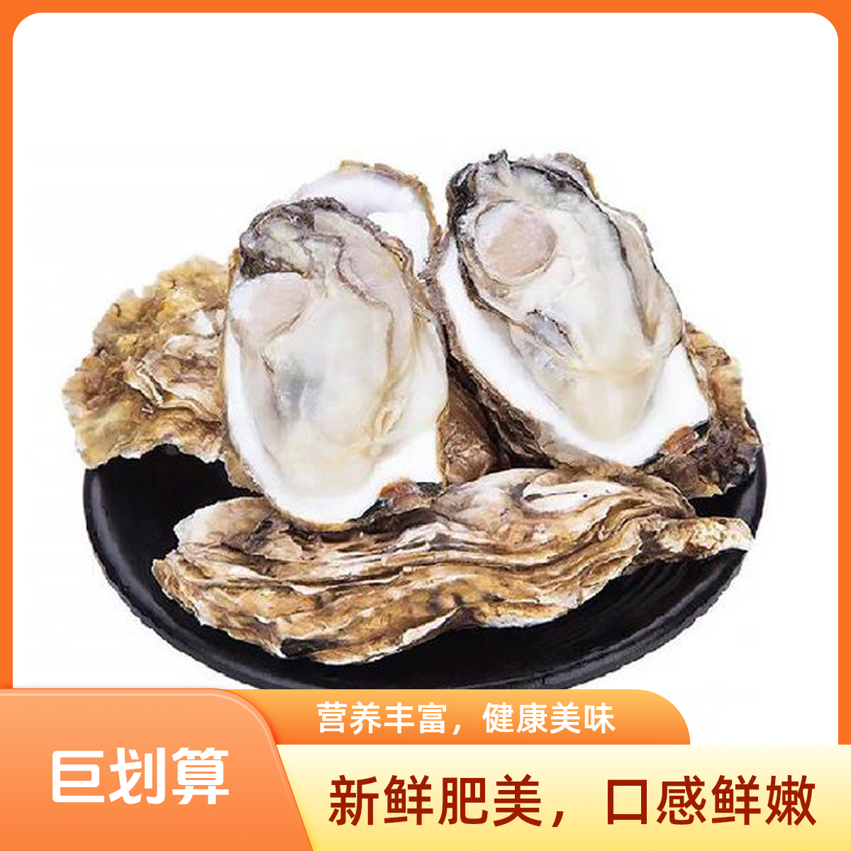 【5斤】顺丰次日达乳山生蚝4+包活新鲜