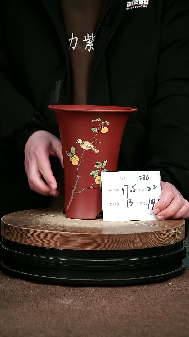 紫砂花盆花卉园艺286