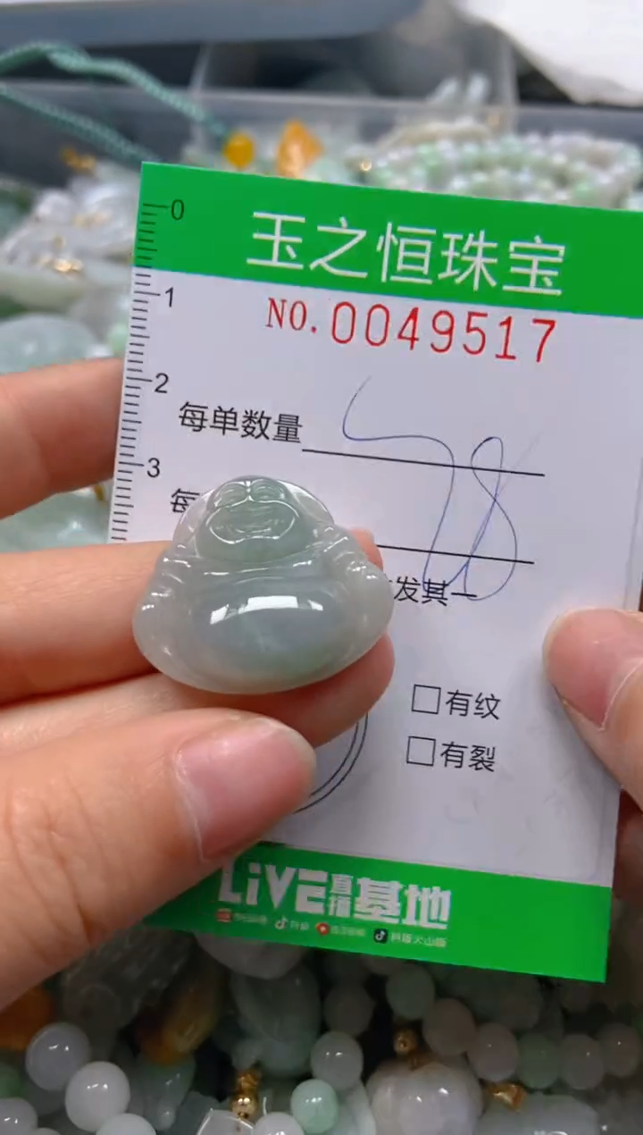 【闪购商品】翡翠颈饰未镶嵌闪购0049517