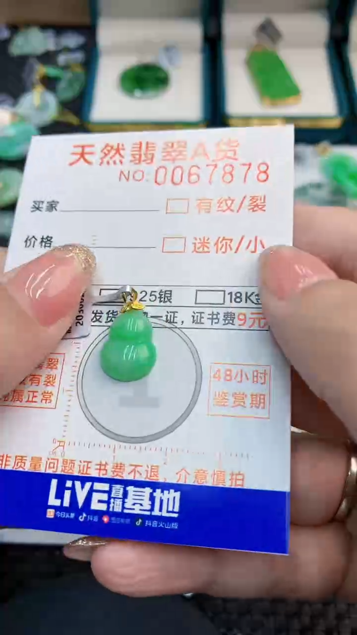 【闪购商品】翡翠18K金镶嵌颈饰            8