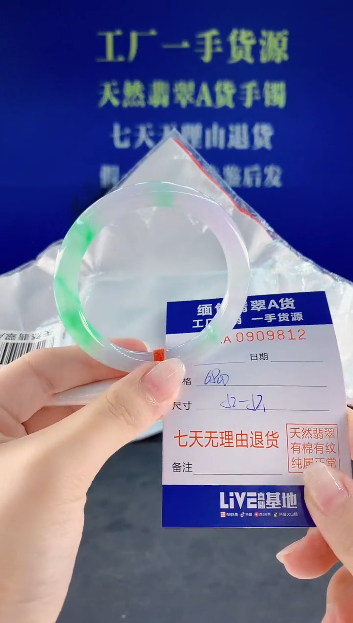 未镶嵌手镯翡翠12