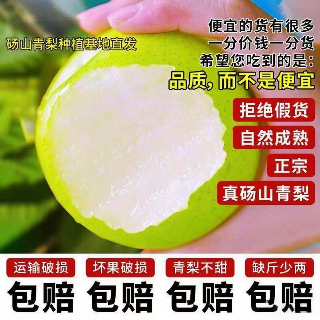 【顺丰包邮】正宗砀山青皮皇冠梨新鲜水果脆甜多汁现摘现发