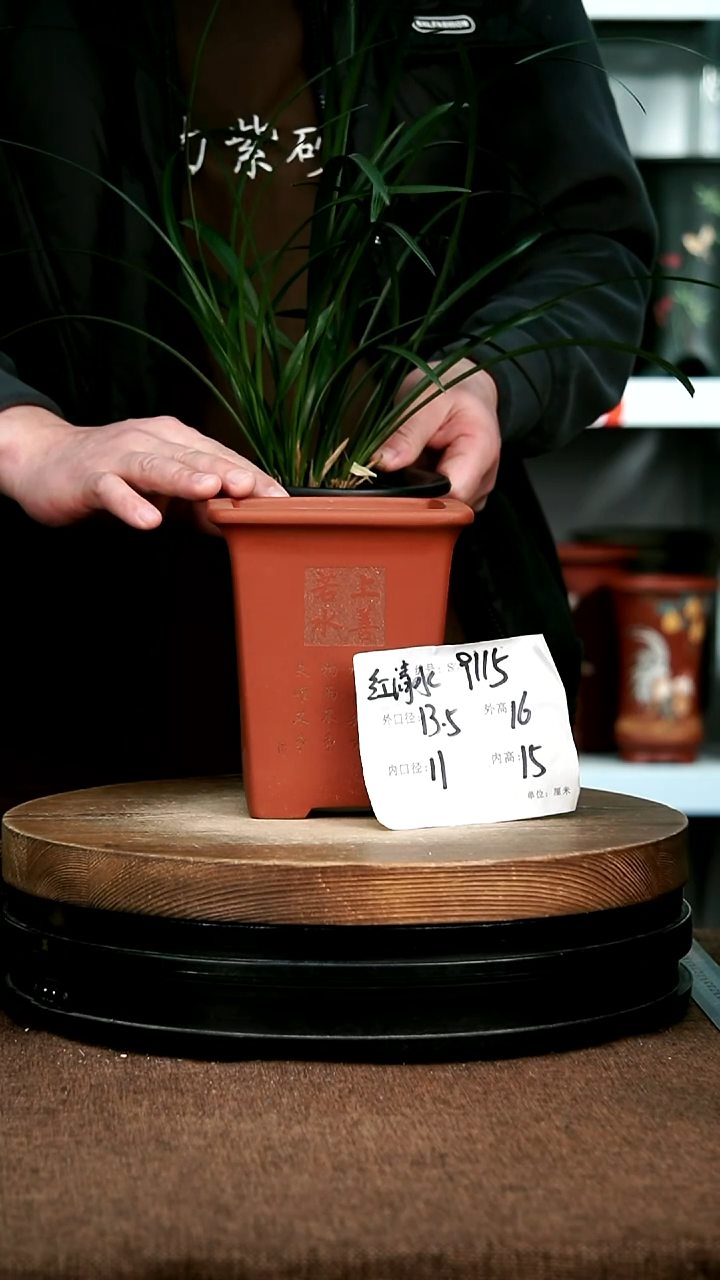 紫砂花盆花卉园艺9115