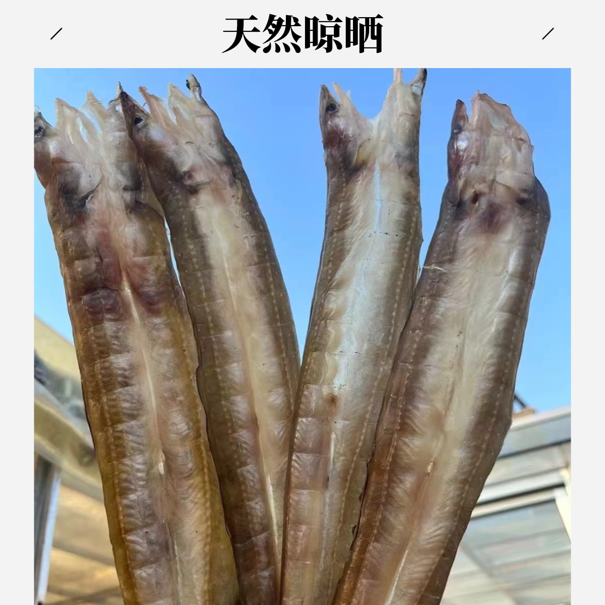 田横码头 当地淡晒鳗鳞鱼 500g