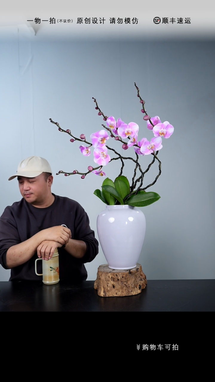 【闪购商品】056号链接【一物一拍】艺术盆景