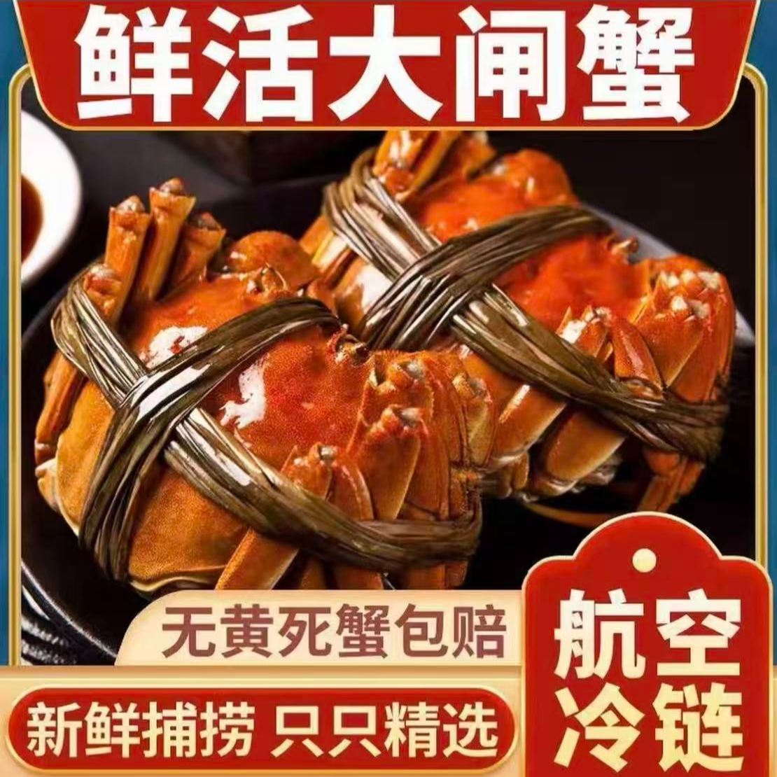 【活蟹】苏州精挑大闸蟹全母蟹4.8-4.5两 10只/8只礼盒装 冷链直发