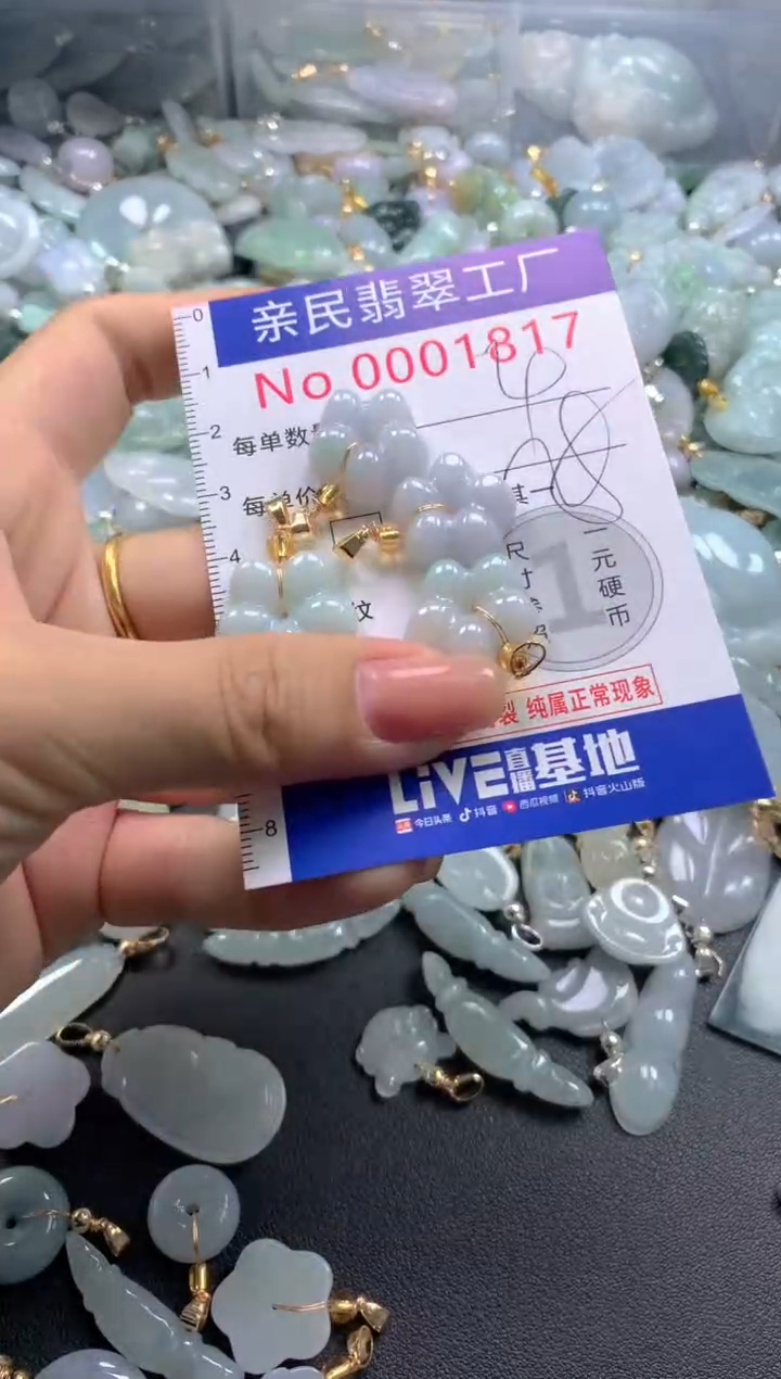 颈饰未镶嵌翡翠1817