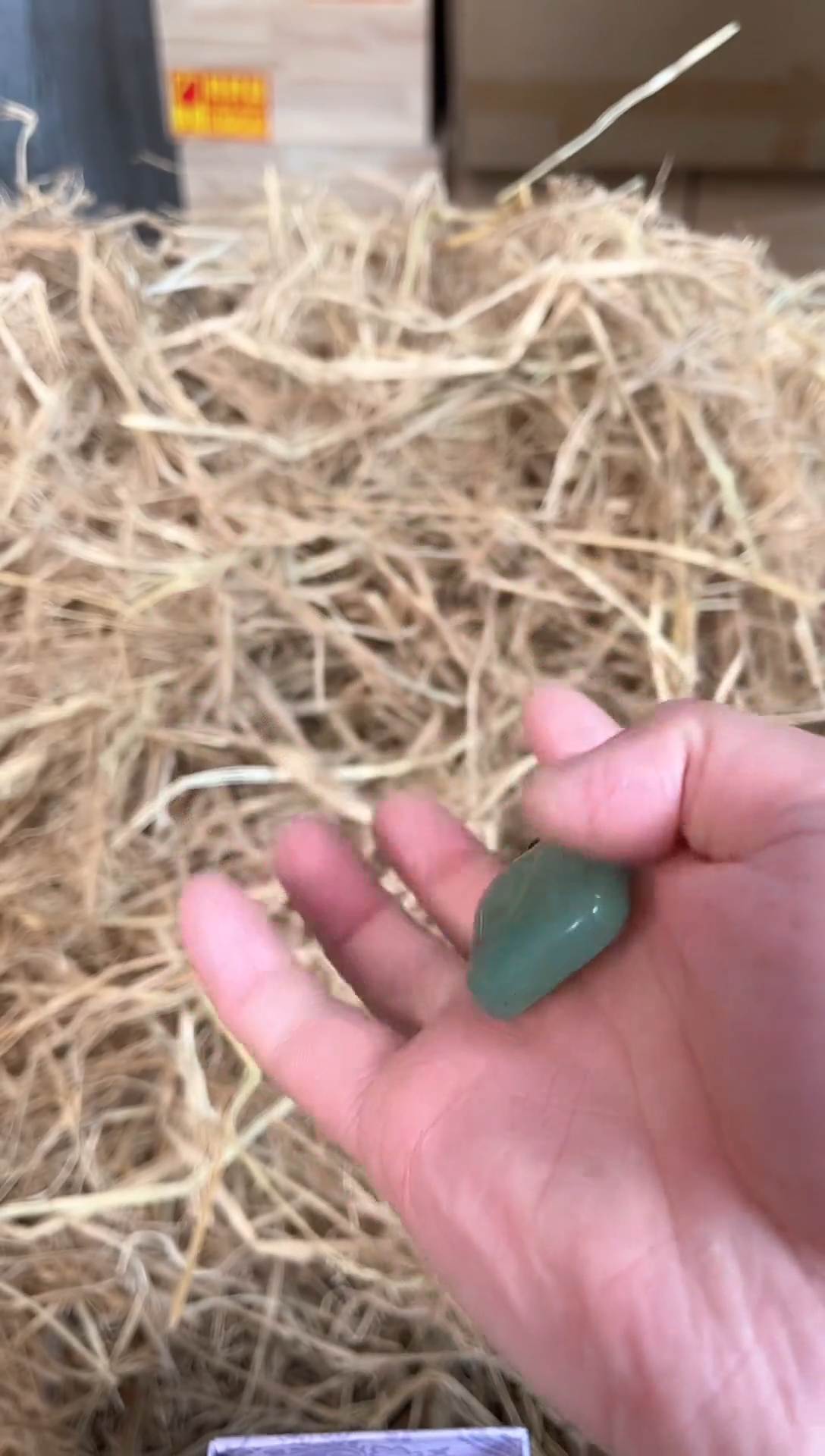 未镶嵌手镯石英质玉编码WUSH