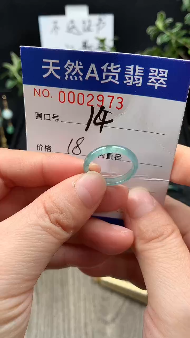 未镶嵌戒指翡翠14#